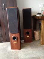 Vintage speakerboxen, Audio, Tv en Foto, Luidsprekers, Gebruikt, Overige typen, 120 watt of meer, Ophalen