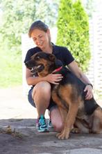 Help Pets Adoptie Hond Ksena uit Oekraine, Particulier, Rabiës (hondsdolheid), Overige rassen, Buitenland