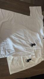 Ralph lauren zomersetje maat m, Ophalen of Verzenden, Zo goed als nieuw