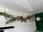 Jungle spullen, Ophalen of Verzenden, Gebruikt, Wanddecoratie