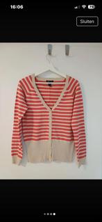 Vest van Mango, Kleding | Dames, Maat 38/40 (M), Mango, Ophalen of Verzenden, Zo goed als nieuw