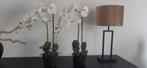 Orchidee kunst, Huis en Inrichting, Kamerplanten, Ophalen of Verzenden, Halfschaduw, Minder dan 100 cm