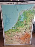 Scoolplaat, Antiek en Kunst, Antiek | Schoolplaten, Ophalen of Verzenden, Natuur en Biologie