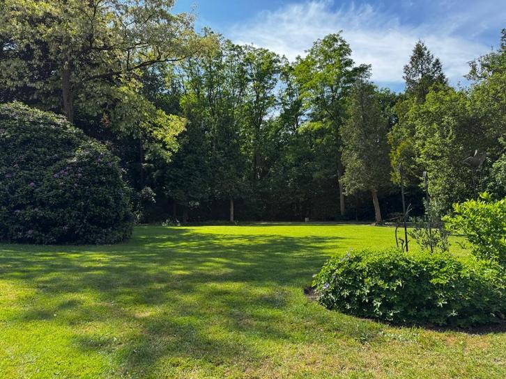 Hulp in de tuin Hulshorst, Tuin en Terras, Planten | Tuinplanten, Eenjarig, Bodembedekkers, Volle zon, Ophalen