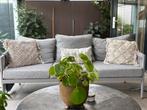 Tuinset 1 bank en 2 fauteuil incl kussens, Tuin en Terras, Tuinsets en Loungesets, Ophalen, Zo goed als nieuw, Bank
