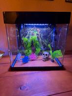 Zo goed als nieuw! SuperFish Panorama 50 LED – complete set, Dieren en Toebehoren, Ophalen of Verzenden, Zo goed als nieuw, Leeg aquarium