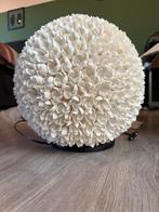 Unieke Schelpenlamp - Sfeervolle Verlichting, Huis en Inrichting, Lampen | Tafellampen, Ophalen of Verzenden, Zo goed als nieuw