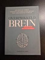 Charlotte Labee - Overprikkeld brein, Ophalen of Verzenden, Zo goed als nieuw, Charlotte Labee