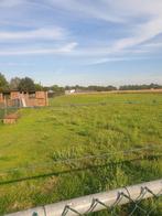 Weiland te huur 7500 m2, Dieren en Toebehoren