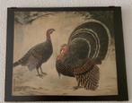 Te koop litho van Theo Dijkwel, 2 kalkoenen, Antiek en Kunst, Ophalen