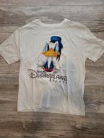 T-shirt | Donald Duck | maat XL | Disneyland Paris, Ophalen of Verzenden, Zo goed als nieuw, Maat 56/58 (XL)