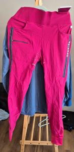 Hv polo rijlegging pink 40 nieuw, Ophalen of Verzenden, Nieuw, Onderkleding