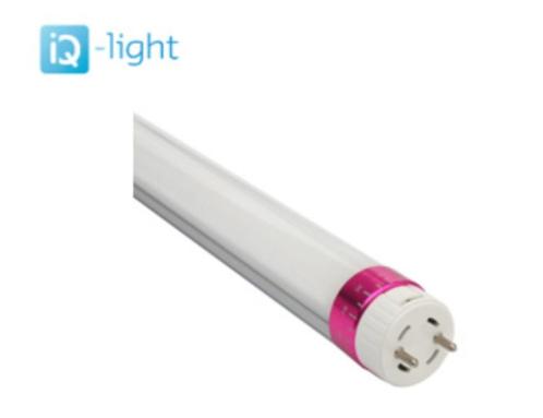 LED verlichting - LED Tubes - 150cm - 24W - 3750lm - 4000/45, Zakelijke goederen, Partijgoederen en Retail | Partijgoederen, Overige categorieën