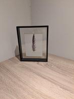 Zwarte Fotolijst met prent, Ophalen