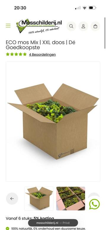 ECO mos Mix XXL doos van mosschilderij beschikbaar voor biedingen