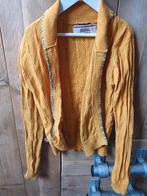 Mosterdgeel 4Funky Flavours vest maat 146, Gebruikt, Meisje, Trui of Vest, Ophalen of Verzenden