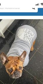 Honden hoodie, maat S, Ophalen of Verzenden, Zo goed als nieuw
