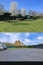 Te huur: Weiland + terrein met stalling en schuren 2.000 m², Dieren en Toebehoren, Weidegang, 4 paarden of pony's of meer