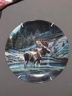 Bordje eland met ophanging, Ophalen of Verzenden