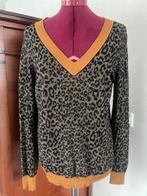 SCOTCH & SODA sweater maat S, Bruin, Scotch & Soda, Ophalen of Verzenden, Zo goed als nieuw