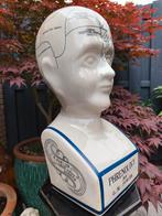 L.N. Fowler Phrenology hoofd 38 cm hoog, Antiek en Kunst, Ophalen of Verzenden