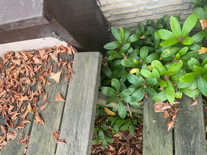 Gratis picknicktafel, Tuin en Terras, Picknicktafels, Gebruikt, Rechthoekig, Hout, Ophalen