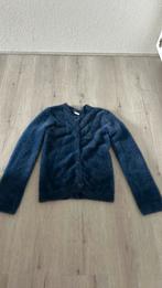 Blauw Vestje maat 146/152, Ophalen of Verzenden, Zo goed als nieuw, Overige maten