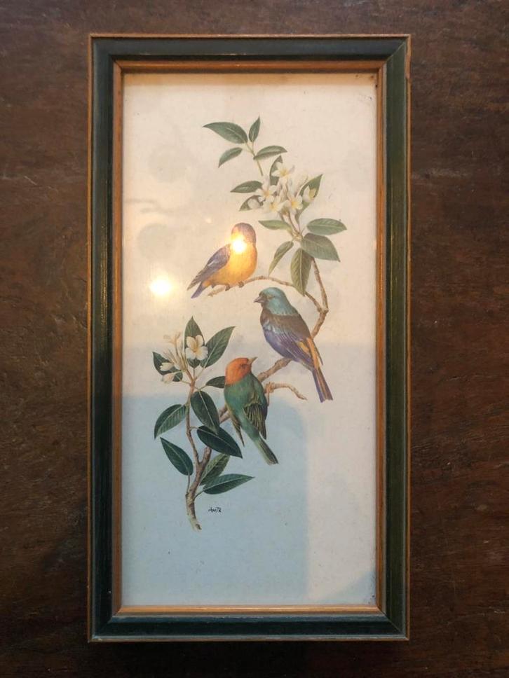 Vintage Vogel Prent in Lijst, Antiek en Kunst, Kunst | Overige Kunst, Ophalen of Verzenden