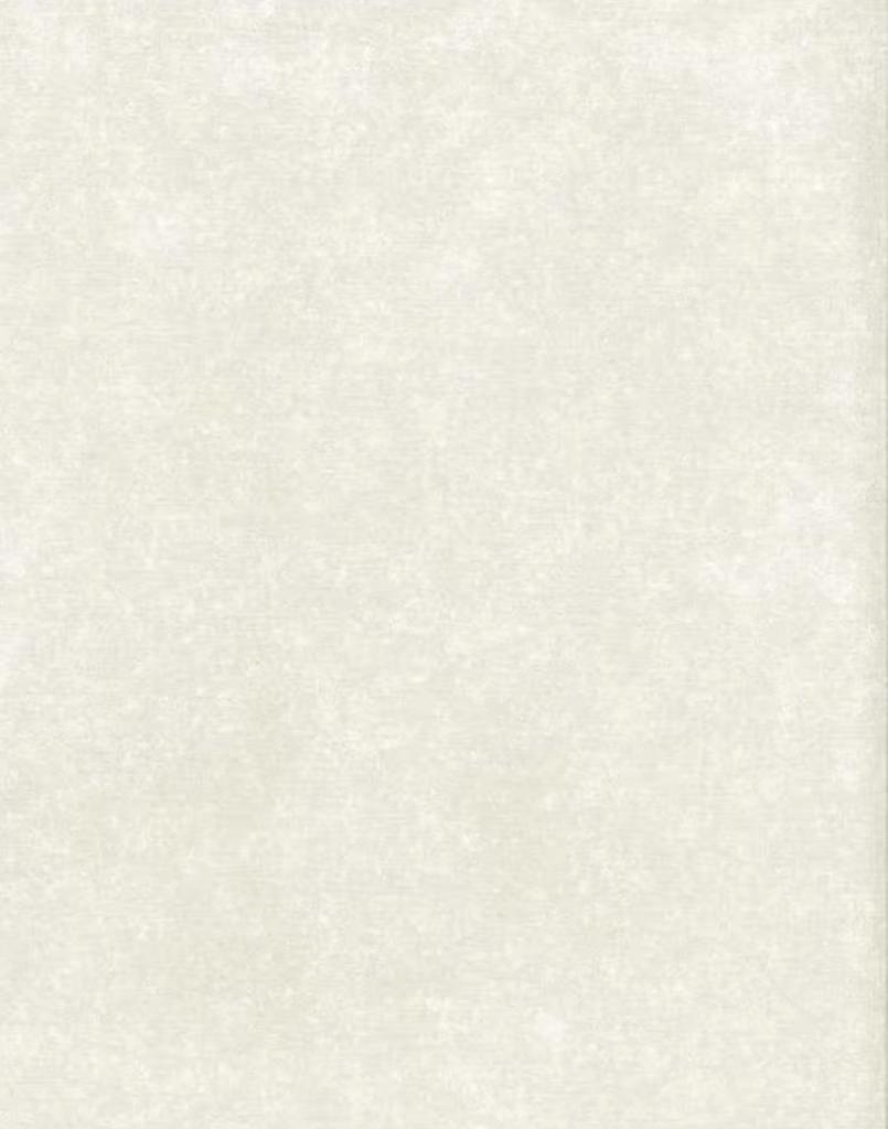 2 rollen behang Noordwand N68706, Ophalen of Verzenden, Minder dan 10 m²