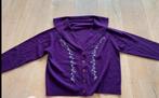 Vest wol geborduurd L nieuwstaat, Kleding | Dames, Truien en Vesten, Ophalen of Verzenden, Zo goed als nieuw, Maat 42/44 (L), Paars