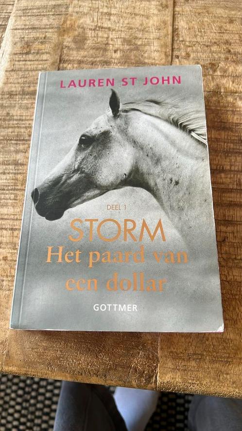 Lauren St John - Het paard van een dollar, Boeken, Kinderboeken | Jeugd | 10 tot 12 jaar, Zo goed als nieuw, Ophalen of Verzenden