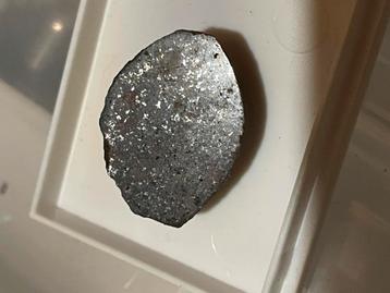 Bijzondere fraaie  meteoriet type chondriet beschikbaar voor biedingen