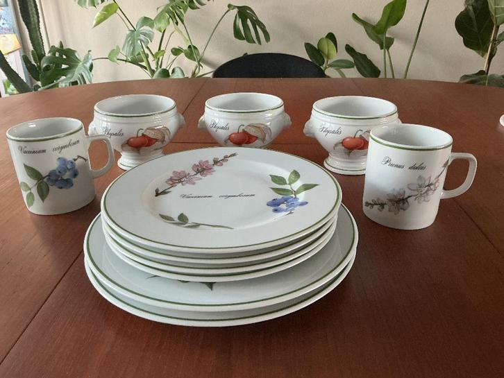 Apilco France Elysian Gardens, Huis en Inrichting, Keuken | Servies, Zo goed als nieuw, Overige stijlen, Porselein, Ophalen of Verzenden