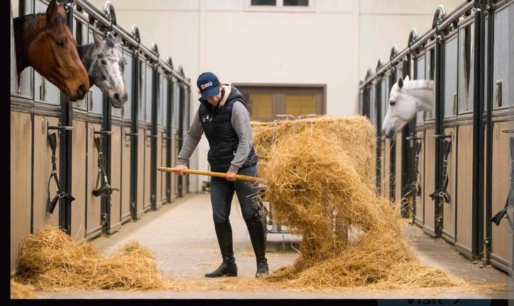 Stalhulp gezocht || Bijbaan stalhulp/ mesten, Dieren en Toebehoren, Paarden en Pony's | Verzorgingsproducten, Ophalen