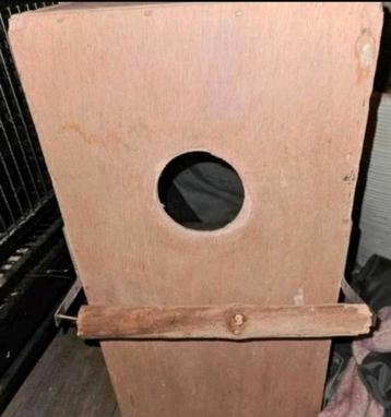 Grote parkiet nestkast  beschikbaar voor biedingen