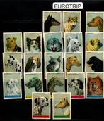 lucifermerk  EUROTRIP   Honden Serie 2, Verzamelen, Rookartikelen, Aanstekers en Luciferdoosjes, Gebruikt, Ophalen of Verzenden