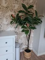 Ikea Fejka Kunstplant Rubberboom - Binnen/Buiten, Huis en Inrichting, Ophalen, Zo goed als nieuw, Binnen