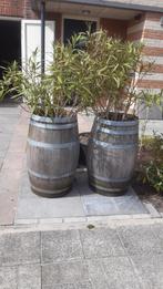Twee houten vaten , tonnen met planten, Tuin en Terras, Planten | Bomen, Overige soorten, Ophalen