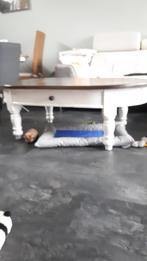 Salontafel /ovale salontafel., Huis en Inrichting, Tafels | Salontafels, Ophalen, Gebruikt, 100 tot 150 cm, 50 tot 100 cm