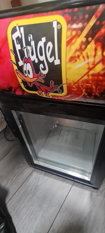 Flugel Koelkastje - Perfect voor de Bar! beschikbaar voor biedingen