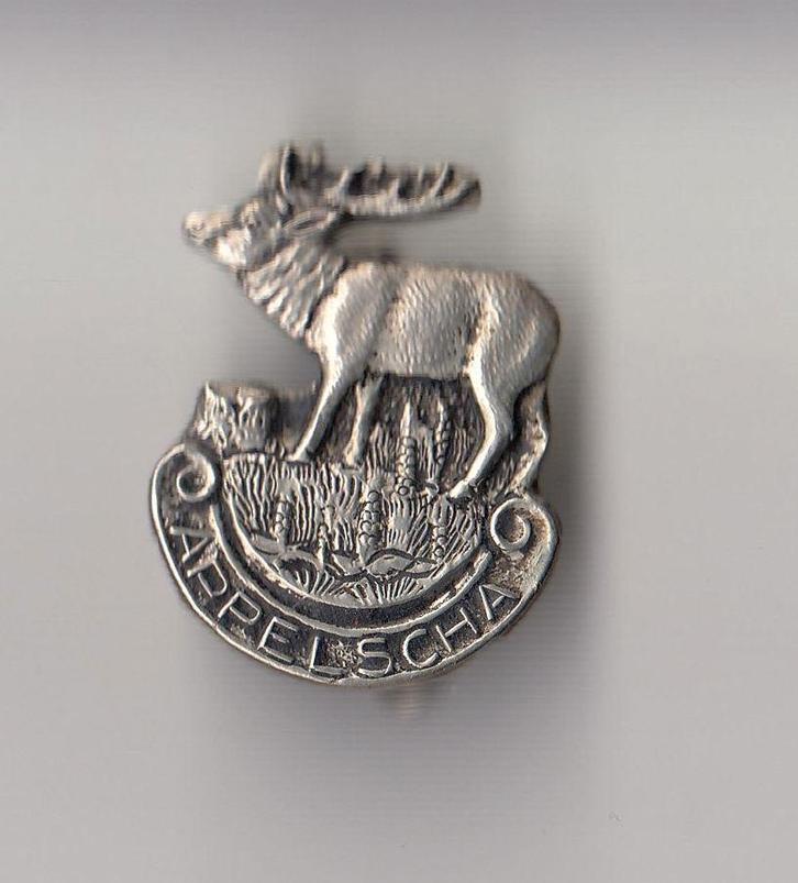 Appelscha Hert broche, Verzamelen, Speldjes, Pins en Buttons, Gebruikt, Speldje of Pin, Overige onderwerpen, Ophalen of Verzenden