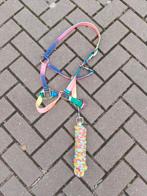 Imperial riding regenboog halster maat full, Dieren en Toebehoren, Paarden en Pony's | Hoofdstellen en Tuigage, Ophalen of Verzenden