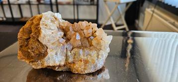 Golden healer cluster 1 beschikbaar voor biedingen