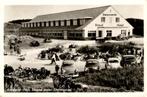 Ameland - Nes Strandhotel Steinvoorde # 217, Verzamelen, Ansichtkaarten | Nederland, Verzenden, 1940 tot 1960, Gelopen, Waddeneilanden