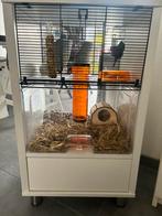 Hamsterkooi, Kooi, Gebruikt, Minder dan 75 cm, Hamster