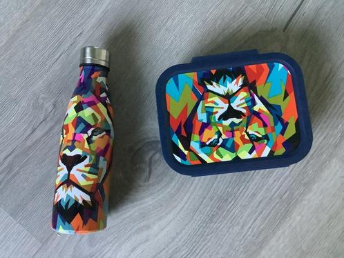 Buddies :Lunch Box- Drinkfles roestvrij staal Kleurrijk set, Diversen, Schoolbenodigdheden, Zo goed als nieuw, Ophalen of Verzenden
