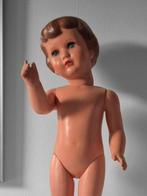 Schildpad pop, Karin, celluloid 1956-1960. Onbespeeld, Verzamelen, Poppen, Ophalen of Verzenden, Nieuw, Pop