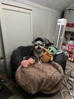 Honden/katje bankje, Huis en Inrichting, Fauteuils, Ophalen, Minder dan 50 cm, Minder dan 75 cm, Zo goed als nieuw