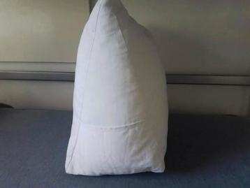 Bed-zit-lees-kussen, 60x50x30 beschikbaar voor biedingen