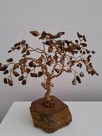 Boompje tijgeroog, Ophalen of Verzenden, Nieuw